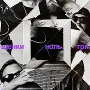 Щенки